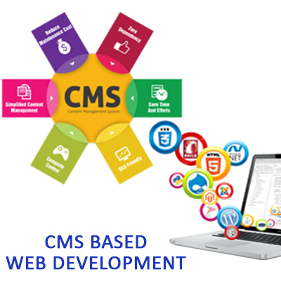 cms web development