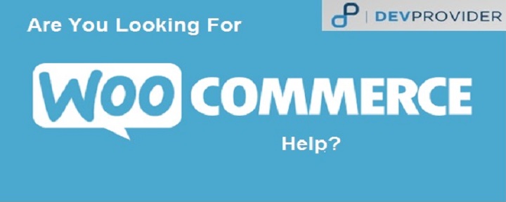 DevProvider_blogImg