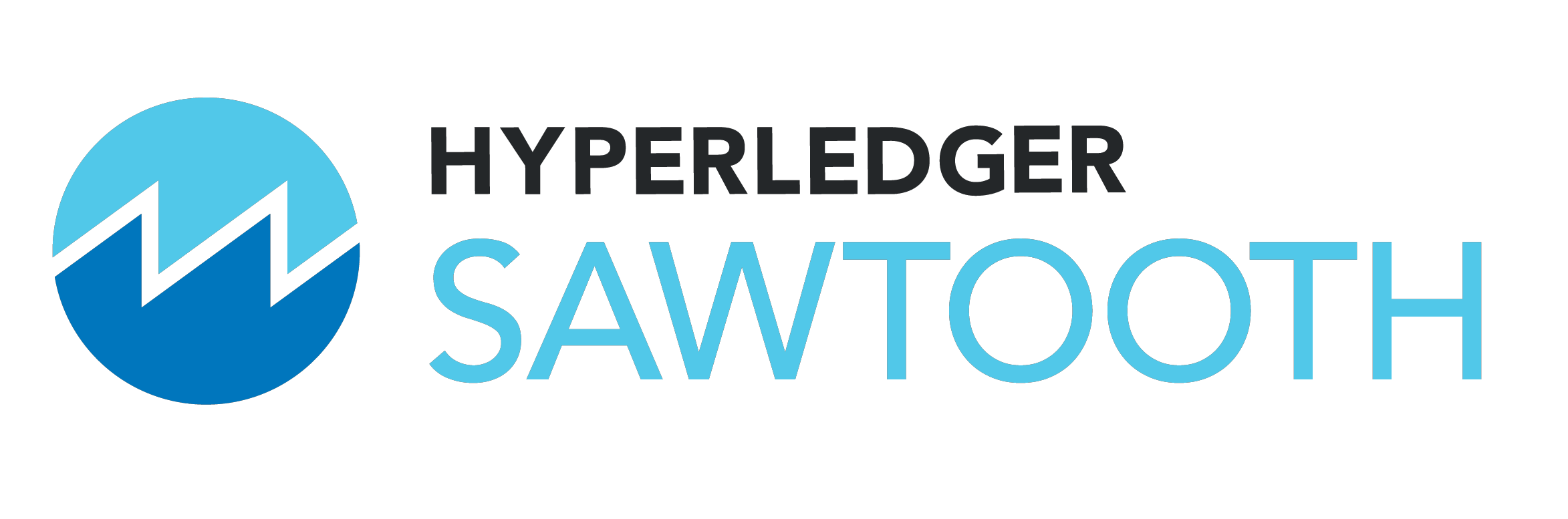 Hyperledger sawtooth
