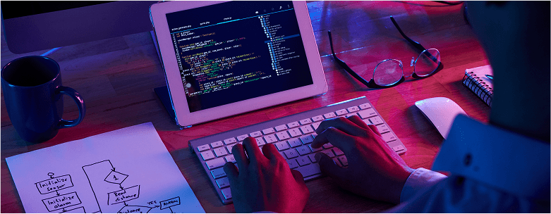What is Web Development?